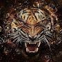 king tiger 