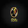 OWL gaming official