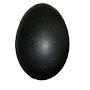Черное яйцо