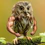 @swoleowl