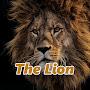 The Lion