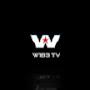 w1b3 TV