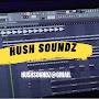 @Hushsoundz