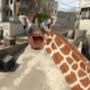 hiddengirafe