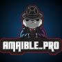 Amaible_pro