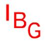 IBG - INFO