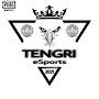 TENGRI eSports