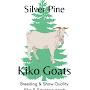 @silverpinekikogoats