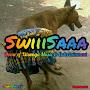 @swiiisaaaofficialhomeofxit9469