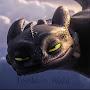 Toothless_night