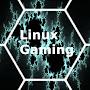 Linux Gaming in FullHD 60FPS