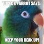 @tupecktherappingparrot4345