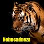 @nebucadneza1914