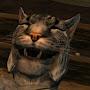 Cute Khajiit