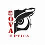 #Sova_ Ptica