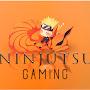 Ninjutsu Gaming