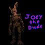 @Joey-the-Dude