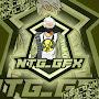 NTG_GFX