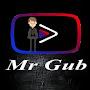 Mr Gub