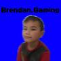 @brendan_gaming2.0