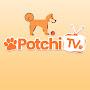 Potchi Paw TV 