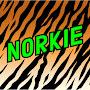 NORKIE