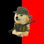 Captain Doge 