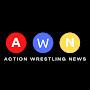 @actionwrestlingnews