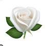 @yorkshirerose146