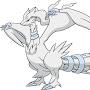 Reshiram Eighteen