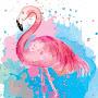 MrFlamingo