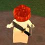 @Lari_roblox-0