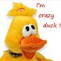 @Crazy123Duck12345