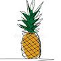 a tasty pineapple