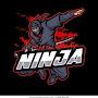 The Real Ninja