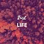 Just LIFE