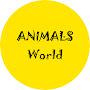 Animals world