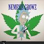 Nemesis Growz