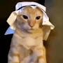 Islamic Catty