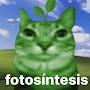 @Histori_fotosintesis