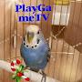 PlayGame TV