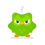 The Owl from Duolingo