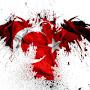 @yakupozturk1460