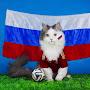 кот россия