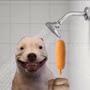 Dog With Corndog In Shower