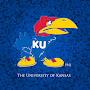 Jayhawk_Nation