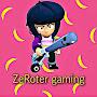 ZeRoter Gaming