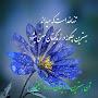 @najaftabriz9871