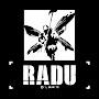 Radu1431
