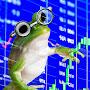 Trading frog
